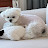 @Nacho_cheongdam