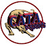 xdfckZ1zyZY-channel-avatar-CATA esports