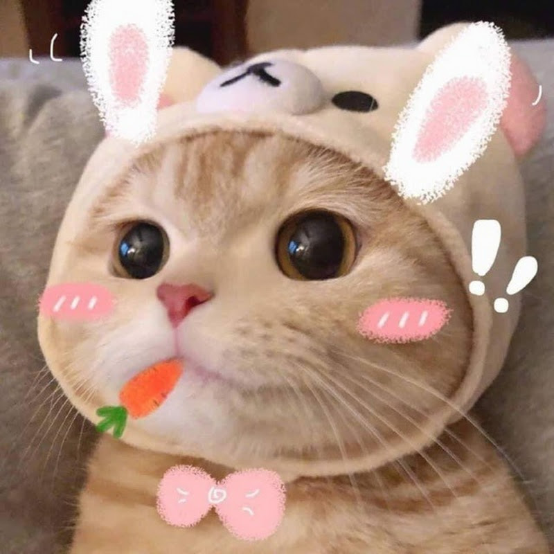 WOA Mew icon