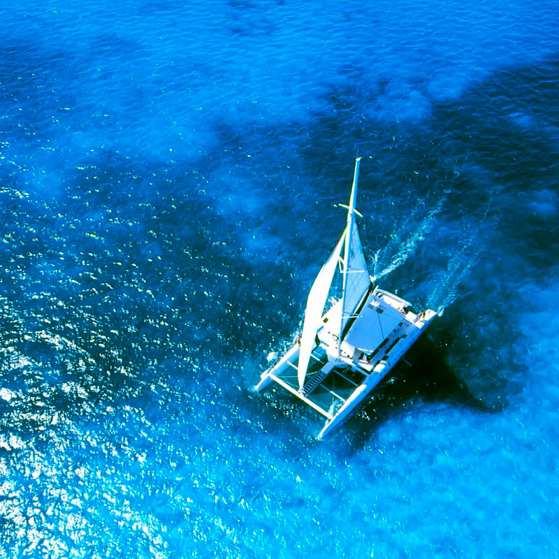 vipcatamaran233