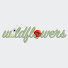 qALTVKlyhwI-channel-avatar-wildflowers