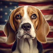 Beagle USA