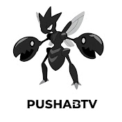 pushaBtv