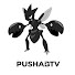 oW4spRSuHaQ-channel-avatar-pushaBtv