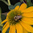 @AOVV7782 Avatar