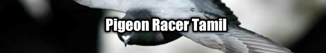 PIGEON RACER - à®¤à®®à®¿à®´à¯ Avatar del canal de YouTube