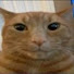ek7ytkWDPmM-channel-avatar-leo
