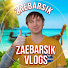 DsMepNZgjg4-channel-avatar-ZaeBarsik Vlogs