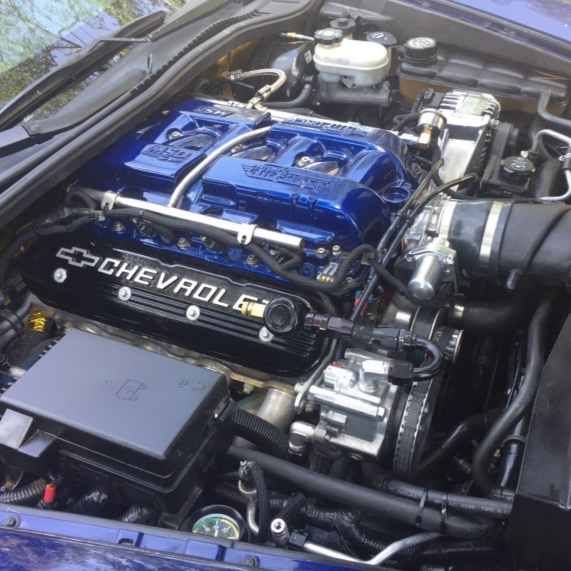 LSX REVIVAL