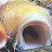 @Fishfromthevideo Avatar