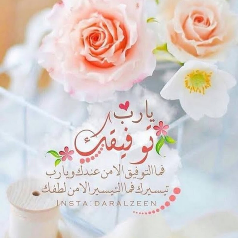 ViralTikTok&Instagram