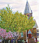 Metropolitan Methodist Church Of Rome Inc. logo