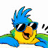 G1AhIK8DcB4-channel-avatar-What The Flock