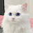 @서울의멋진카페들222