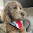 @sickgingerbreadecho8101 Avatar
