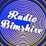 2VBE9YgbCkQ-channel-avatar-Radio Bimshire