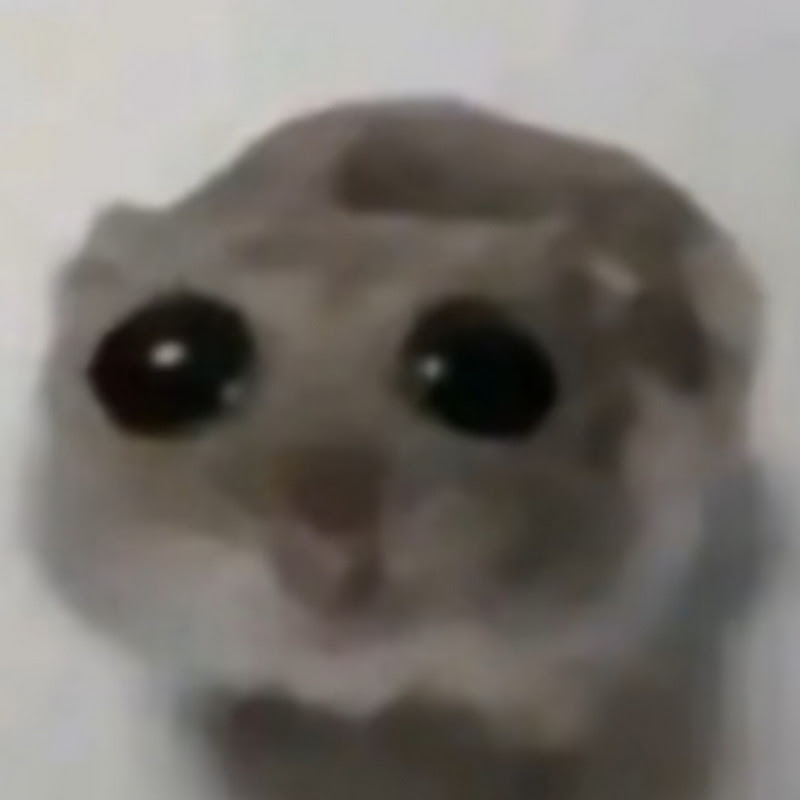 라이벌 세계관 