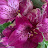 @fredbeckett6447