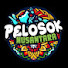 2KaXARQLMzQ-channel-avatar-Pelosok Nusantara