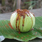 Wildfoods