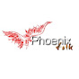 Phoenix Folk YouTube Profile Photo