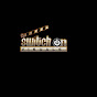 SWITCH ON VISUALS 256 logo