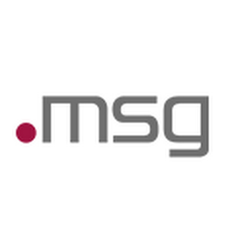 msg life Slovakia