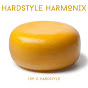 HARDSTYLE HARMONIX - Topic