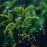 pQZQs_xYKXE-channel-avatar-Rainy Escape