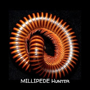 MILLIPEDE Hunter