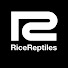 k8lfD0ATjTk-channel-avatar-Rice Reptiles
