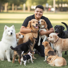 🐶KATATO🐾