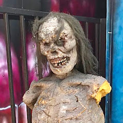 Haunted Mansion fair rideアイコン画像