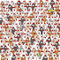 BSM9xTfR0JI-channel-avatar-royalwedding