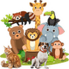 FUNNY ANIMAL channel avatar