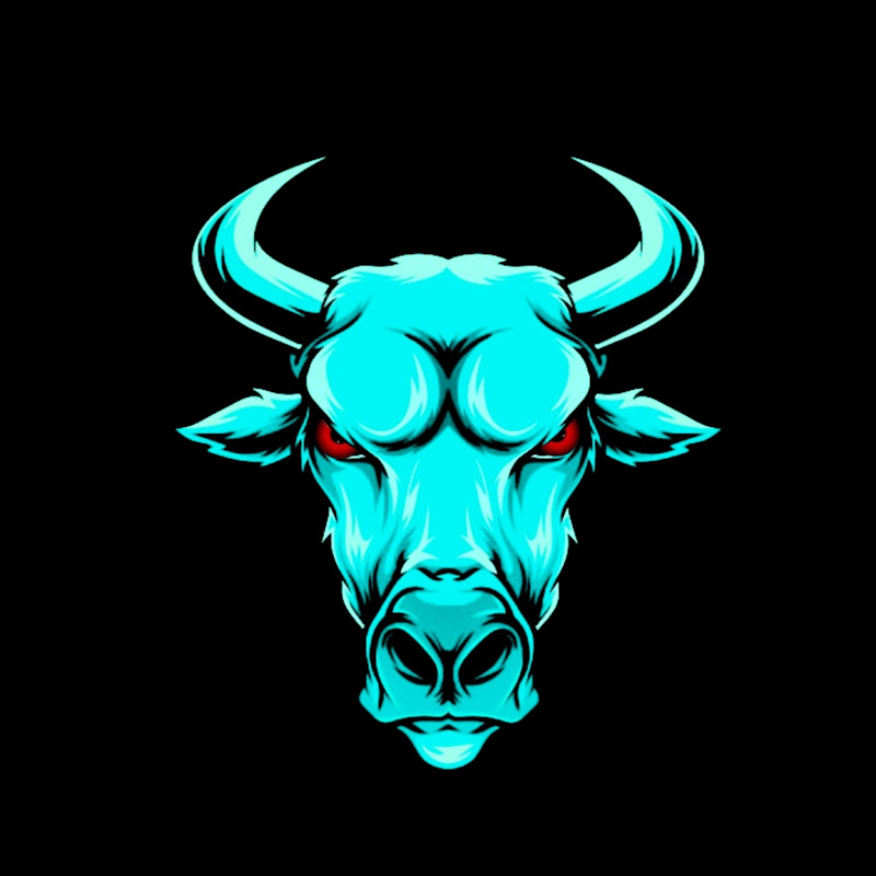 மாட்டு SIRO SHORTS