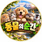 동물의 순간