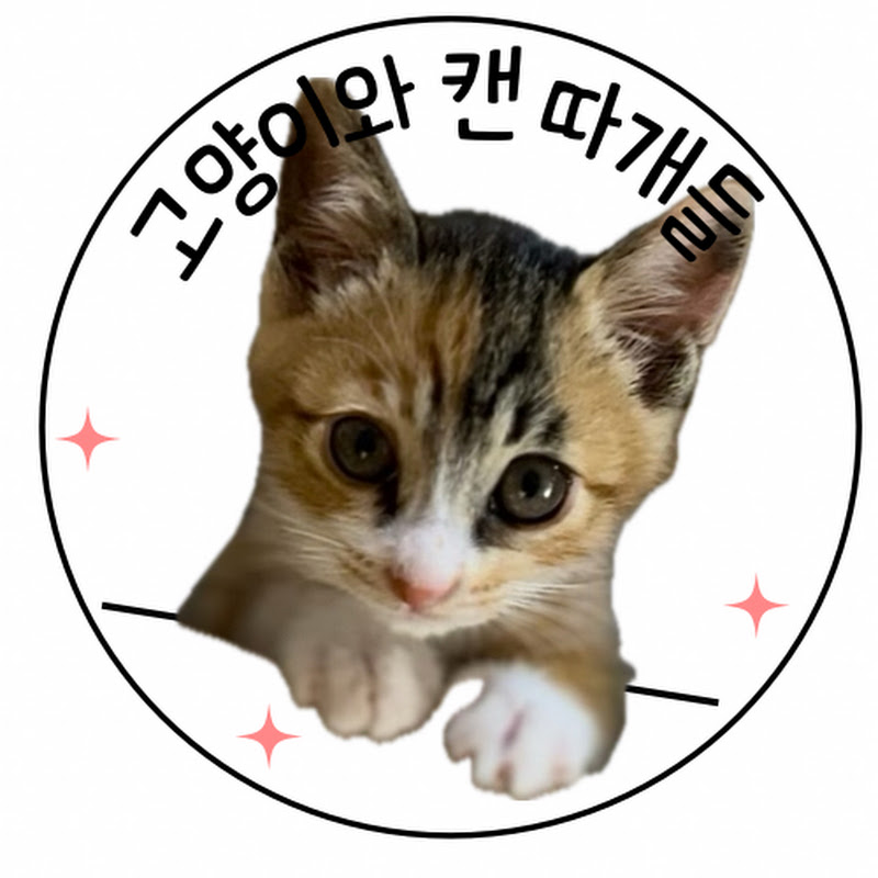 고양이와캔따개들