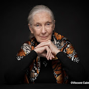 Dr. Jane Goodall & the Jane Goodall Institute USA
