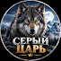 BZ_GG4ntliE-channel-avatar-Серый Царь