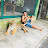 WILDLIFE WITH SAKET