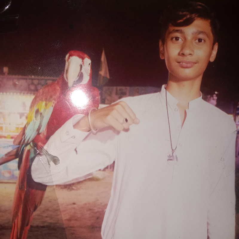 Hire Ayyan pet zoom — Pets & Animals YouTube creator for sponsorships