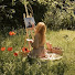 8fZp3Oqi3I8-channel-avatar-a slow morning and 2 more