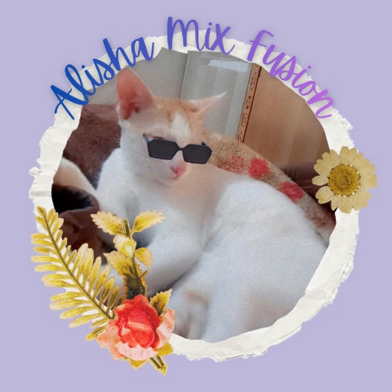Alisha Mix Fusion