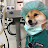 @Drdogge_1