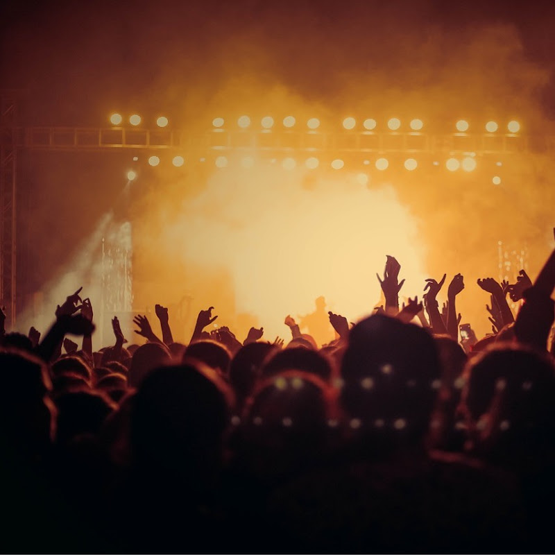 他們的演唱會 Logo