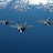 Malik Air Combat