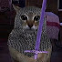 oqBL2hF-I8Y-channel-avatar-Archi