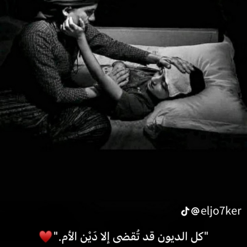 حالات وتساب 2026