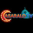 rLLMoVfVzCE-channel-avatar-ASARALO TV 